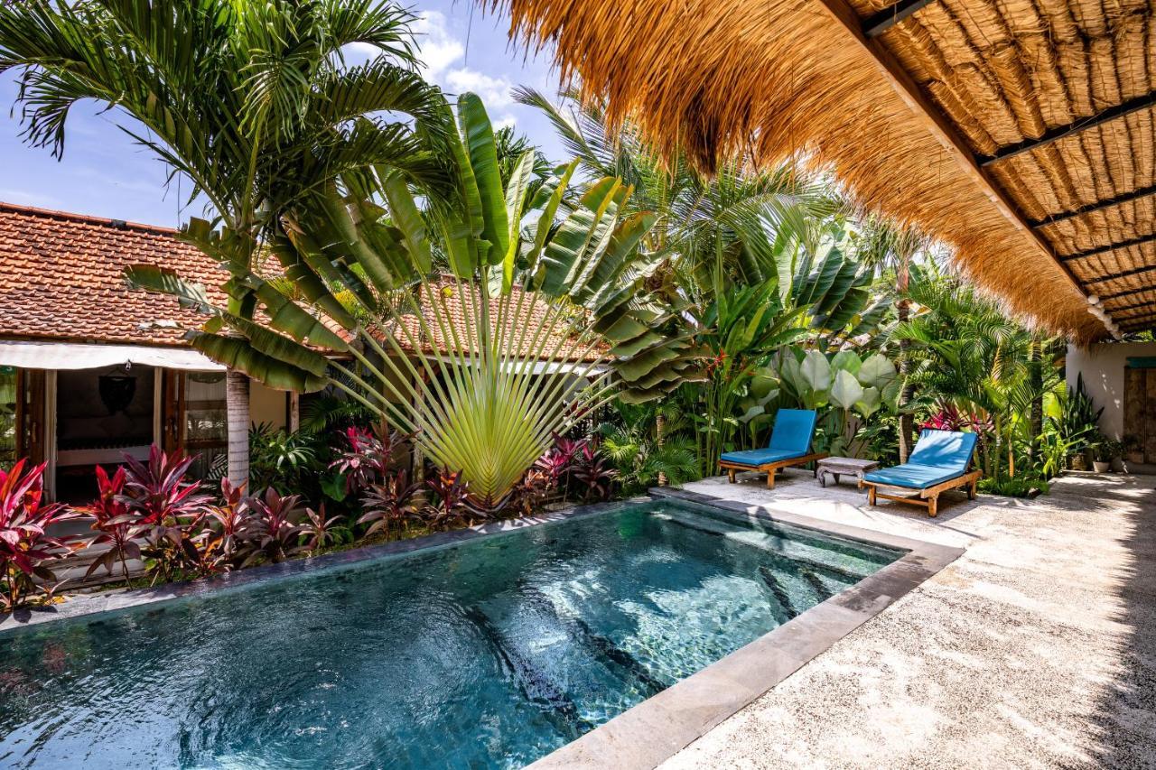 Seaside Tribe - Boutique Surf Stay & Retreat Tanah Lot Eksteriør billede