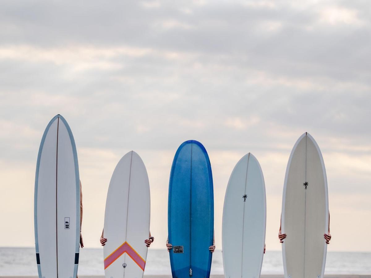 Seaside Tribe - Boutique Surf Stay & Retreat Tanah Lot Eksteriør billede