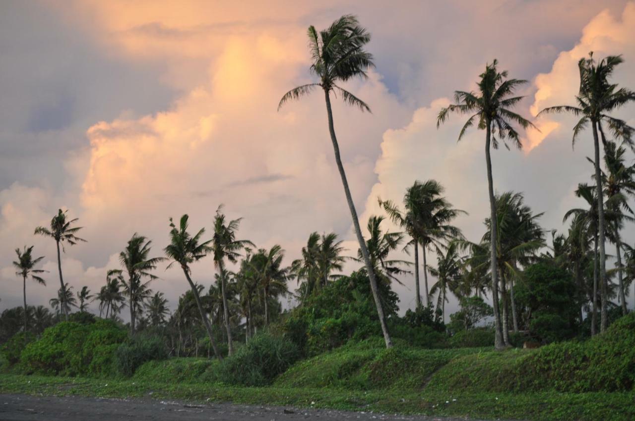 Seaside Tribe - Boutique Surf Stay & Retreat Tanah Lot Eksteriør billede